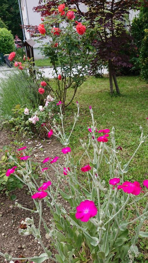 Penzion Mimi 블레드 외부 사진